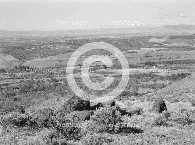 Possibly: Looking down on part of the Valley, approximately six miles from Yakima, Washington, 1939. Creator: Dorothea Lange.