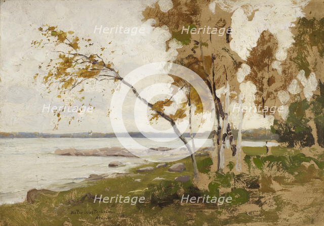 Landscape Study, 1885. Creator: Victor Westerholm.