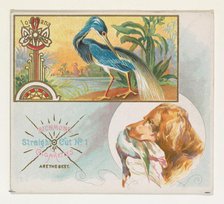 Louisiana Heron, from the Game Birds series (N40) for Allen & Ginter Cigarettes, 1888-90. Creator: Allen & Ginter.