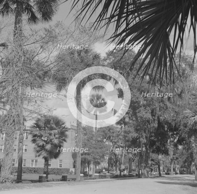 Possibly: Bethune-Cookman College, Daytona Beach, Florida, 1943. Creator: Gordon Parks.