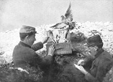 ''Precieux Auxiliaires; Un lacher de pigeons', 1915. Creator: Unknown.