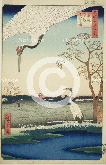 Minowa, Kanasugi, Mikawashima, from the series "One Hundred Famous Views of Edo (Meisho..., 1857. Creator: Ando Hiroshige.