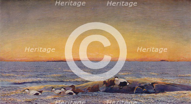 'Sunrise', 1896. Artist: Bruno Liljefors.