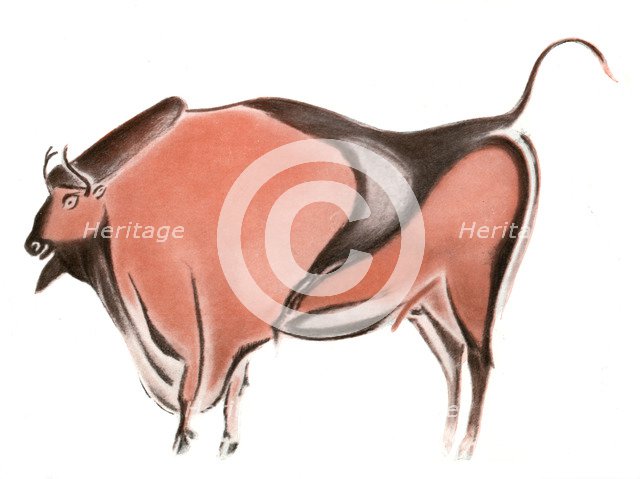 Cave painting of a bison from the Altamira cave, Spain, 1933-1934. Artist: Unknown