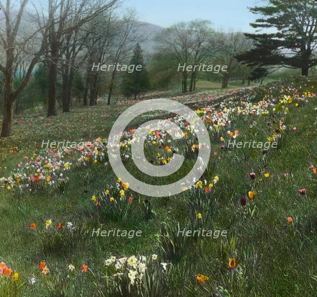 "Cragston," John Pierpont Morgan house, Highland Falls, New York., c1913. Creator: Frances Benjamin Johnston.