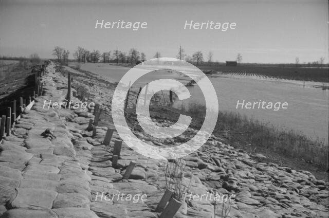 The Bessie Levee, along a subsidiary...Mississippi River, near Tiptonville, Tennessee, 1937. Creator: Walker Evans.