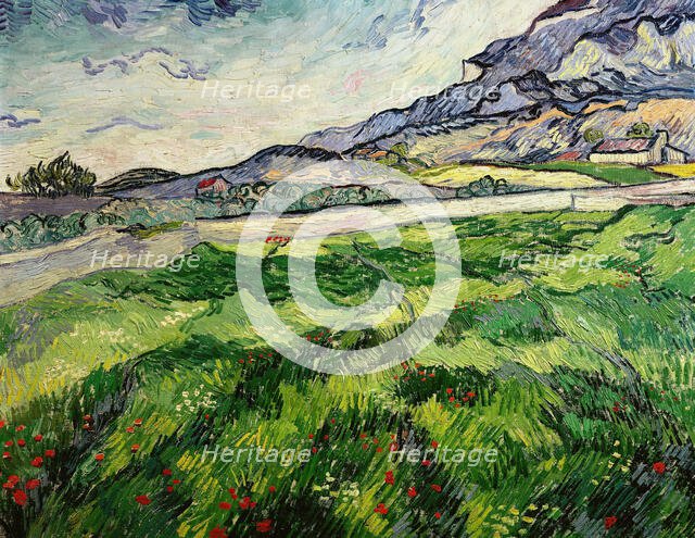 Green wheat field, 1889. Creator: Gogh, Vincent, van (1853-1890).