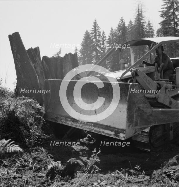 Possibly: Bulldozer...Nieman farm, near Vader, Lewis County, Western Washington, 1939. Creator: Dorothea Lange.