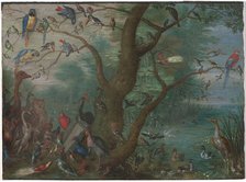 Concert of Birds, 1660/1670. Creator: Anon.
