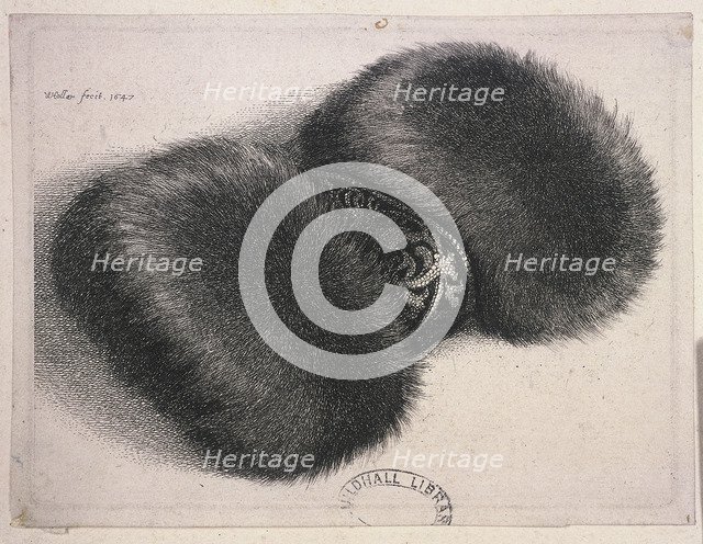 A large muff with a band of brocade, 1647. Artist: Wenceslaus Hollar