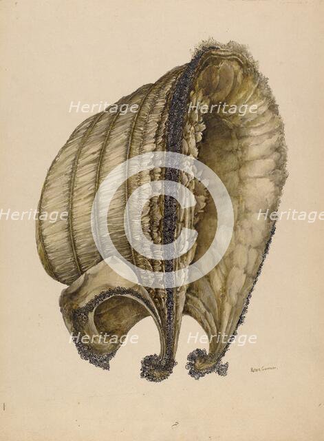 Silk Bonnet, 1935/1942. Creator: Peter Connin.