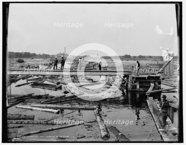 Menominee, Mich., logging on the river, c1898. Creator: Unknown.