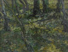Undergrowth, 1889. Creator: Gogh, Vincent, van (1853-1890).