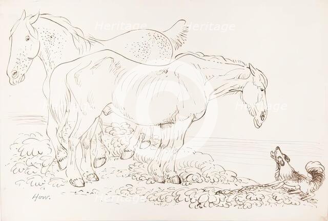Two Horses and A Dog, 1825-1839. Creator: James Howe.