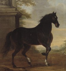 Charles XI's favourite horse Tott, 1680. Creator: David Klocker Ehrenstrahl.