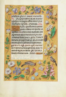 Decorated Text Page; Spinola Hours, about 1510-1520. Creator: Unknown.