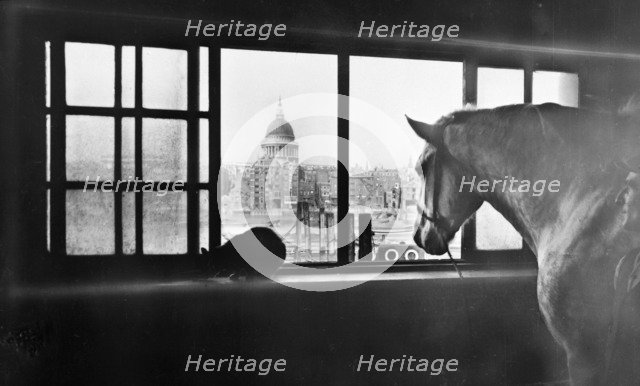 Horse overlooking St Paul's Cathedral from a mutli storey stable, London, 1920s. Artist: George Davison Reid