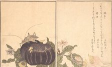 Land Snail (Katatsumuri); Giant Katydid (Kutsuwamushi) ..., 1788. Creator: Kitagawa Utamaro.