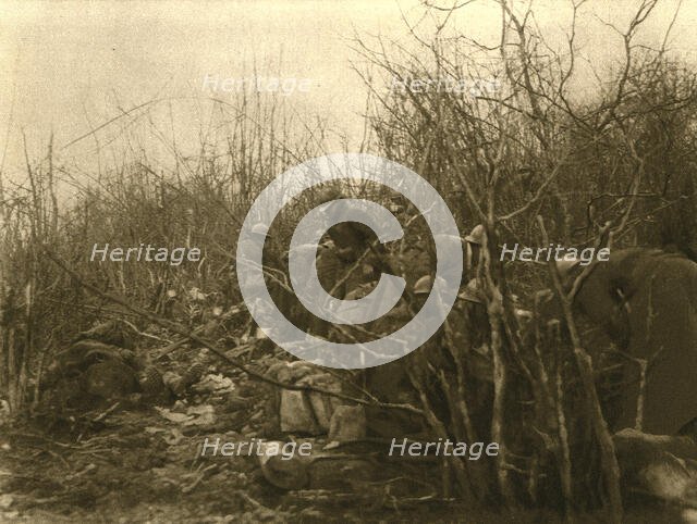 'Au Bois Des Caures; Le matin du 24, les defenseurs du bois jouissent d'une..., 1916 (1924) Creator: Unknown.