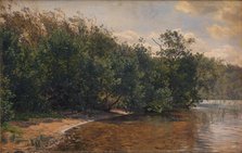 Elm trees at Almind Lake, 1873. Creator: Janus Andreas Bartholin la Cour.