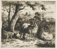 Standing Sheep and Two Lambs, 1685. Creator: Jan van der Meer.