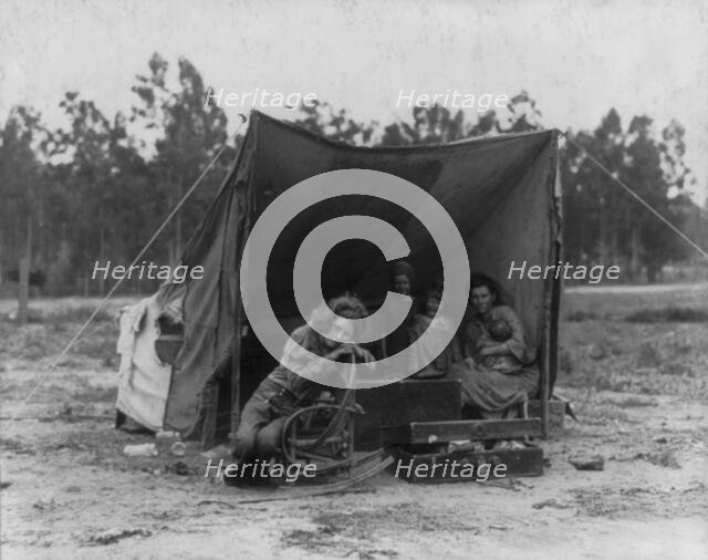 Migrant agricultural worker's family, Nipomo, California, 1936. Creator: Dorothea Lange.