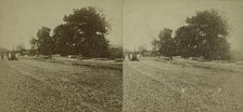Paving of Lenox Ave. north of Central Park., c1850-1930. Creator: Unknown.