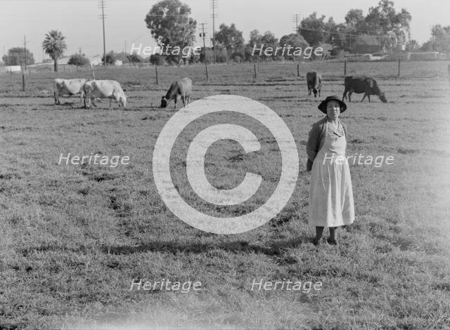 This farm of twelve acres operated as a prune ranch, Tulare County, California, 1938. Creator: Dorothea Lange.