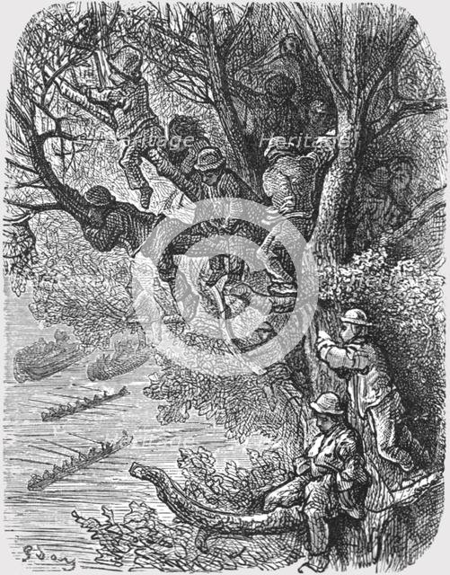 'Perched in the Trees', 1872.  Creator: Gustave Doré.