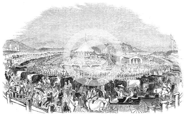 The Great Poughkeepsie Cattle Show, 1844. Creator: Smyth.