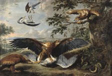 Fight between Eagles, mid-17th century. Creator: Workshop of Pieter Boel.