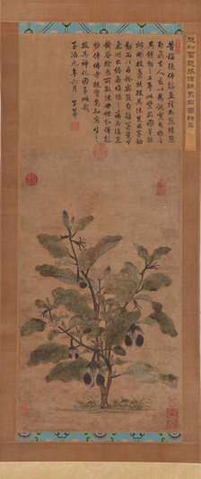 Eggplant, Ming dynasty, 1368-1644. Creator: Unknown.