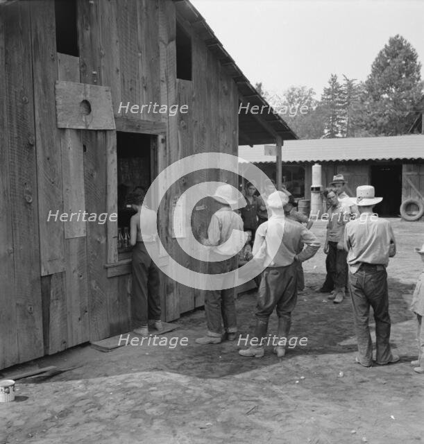 Part of line up at paymaster's window at noon..., near Grants Pass, Josephine County, Oregon, 1939. Creator: Dorothea Lange.