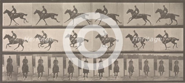 [Horse and Rider Galloping], 1883-86, printed 1887. Creator: Eadweard J Muybridge.