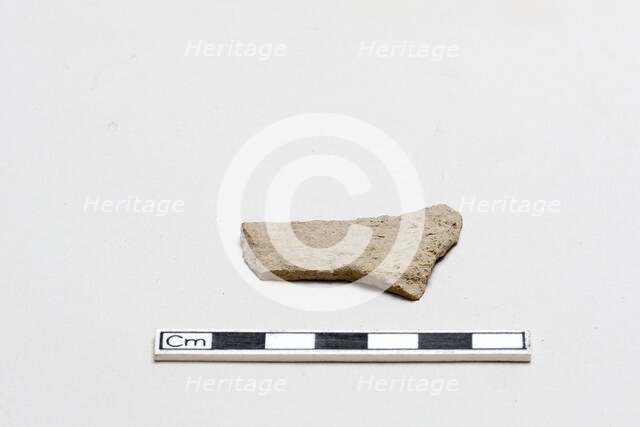 Oracle bone, inscribed, Shang dynasty, ca. 1600 - ca. 1050 BCE. Creator: Unknown.