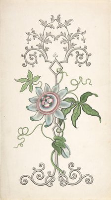 Design for Panel Decoration Centered on a Passion Flower, 1828-40. Creator: J Hulme.