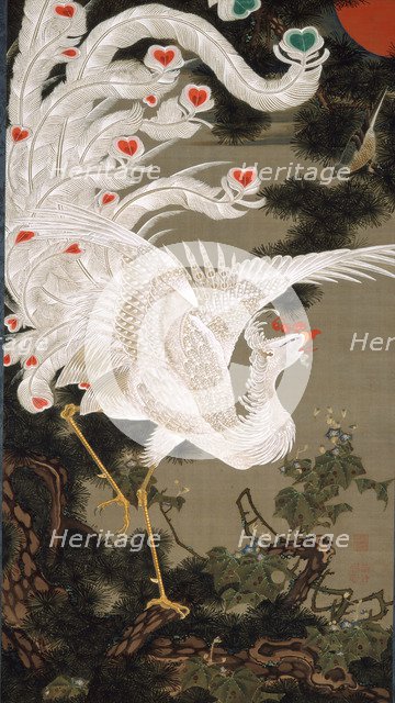 White Phoenix and Old Pine Tree, 1766.
