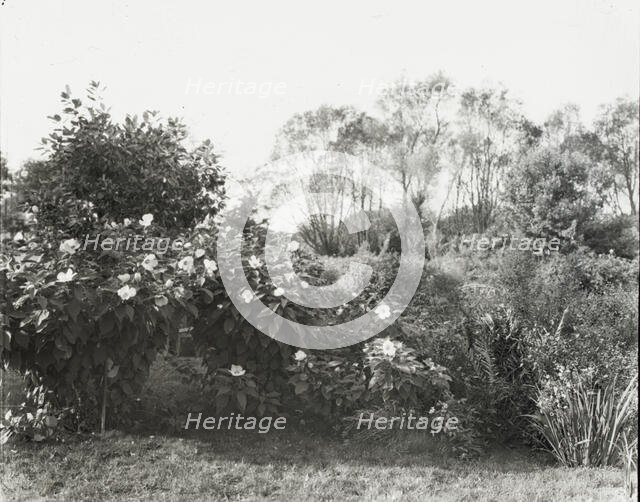 "Glen Oaks," James Hobart Moore house, East Valley Road, Montecito, California, 1917. Creator: Frances Benjamin Johnston.