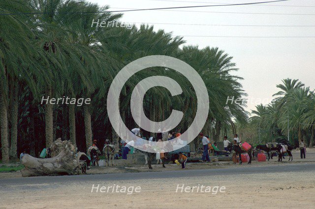 Collecting water in the evening in an oasis in the Sahara. Artist: Unknown