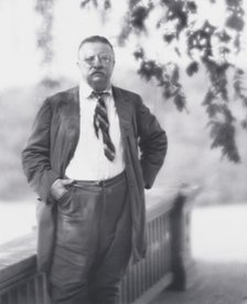 Portrait photograph of Theodore Roosevelt, 1916 Sept. 8. Creator: Arnold Genthe.