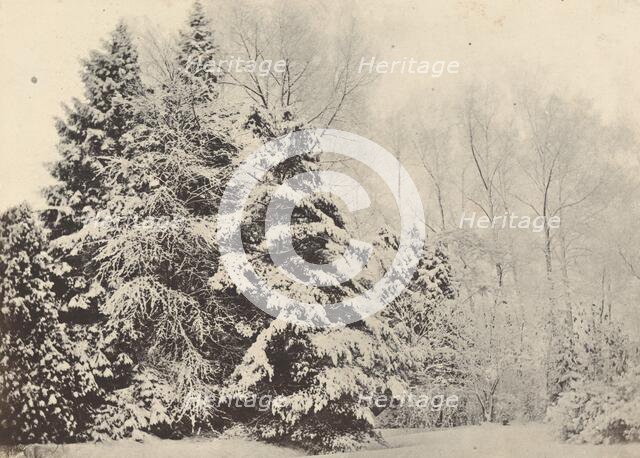 Paysage de sapins sous la neige, c. 1852. Creator: A. Fays.