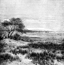 Agha Valley, Central Pampa, Argentina, 1895. Artist: Unknown