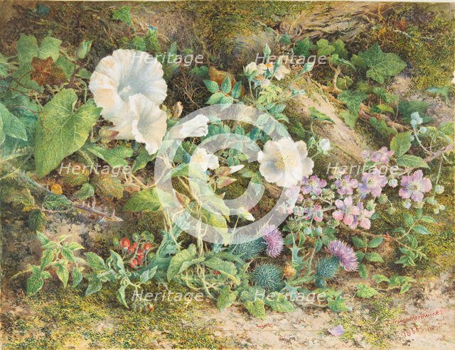 Flower Study, 1866. Creator: John Jessop Hardwick.