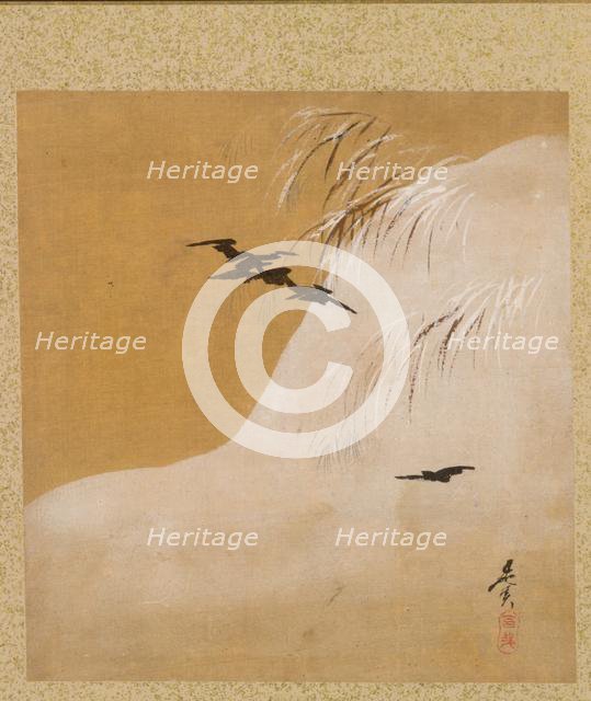 Leaf from Album of Seasonal Themes: New Ferns, 1847. Creator: Shibata Zeshin (Japanese, 1807-1891).