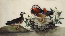 Two ducks and flowering water plants by a pond, late 19th century. Creator: Sunqua.