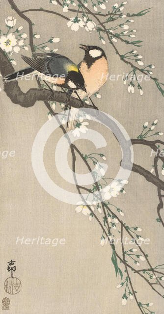 Tits on Cherry Branch, 1900-1910. Creator: Ohara, Koson (1877-1945).
