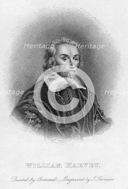 William Harvey (1578-1657) English physician, c17th century. Artist: Unknown