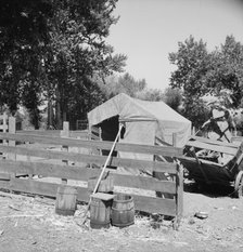 Shelter in one of the large shacktown communities around Yakima, Washington, Sumac Park, 1939. Creator: Dorothea Lange.
