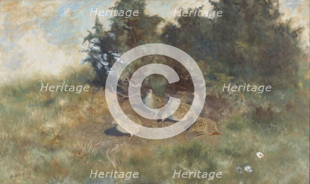 Partridges, 1922. Creator: Bruno Liljefors.