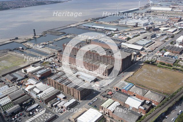 Stanley Dock and environs, Liverpool, 2015. Creator: Historic England.
